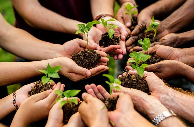 Imagem do serviço: Meio Ambiente